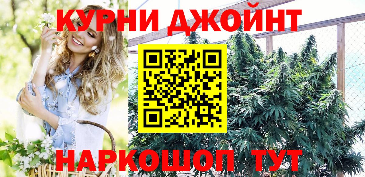 Конопля ГИДРОПОН Санкт-Петербург